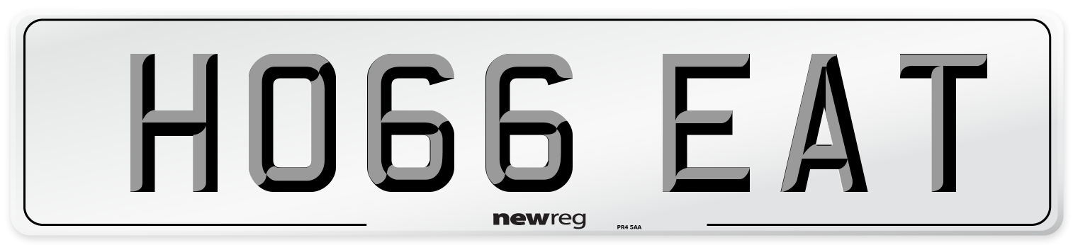 HO66 EAT Number Plate from New Reg